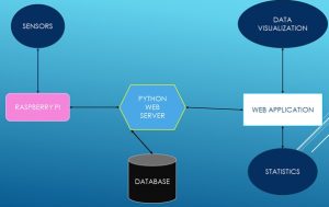 dotnet project report online
