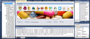 dot net projects online